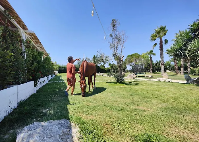 בית חווה Masseria Tumara And