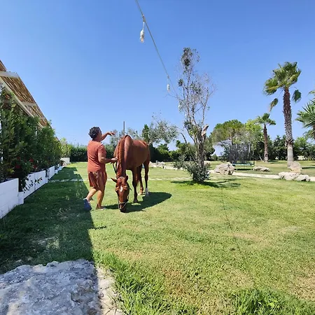 Vakantieboerderij Masseria Tumara And